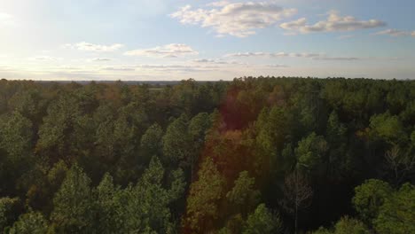 flying over a forest and there is a beautiful flare from the sun on a partly cloudy day