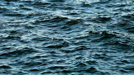 sea water surface. blue sea waves soft surface abstract background