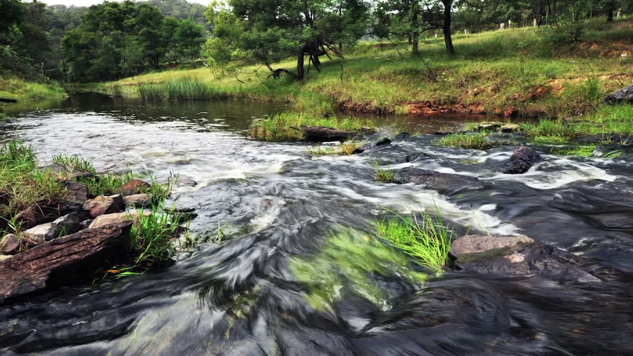 Inquadratura dal basso di un ruscello primaverile con acqua corrente con carrellata panoramica e time-lapse.