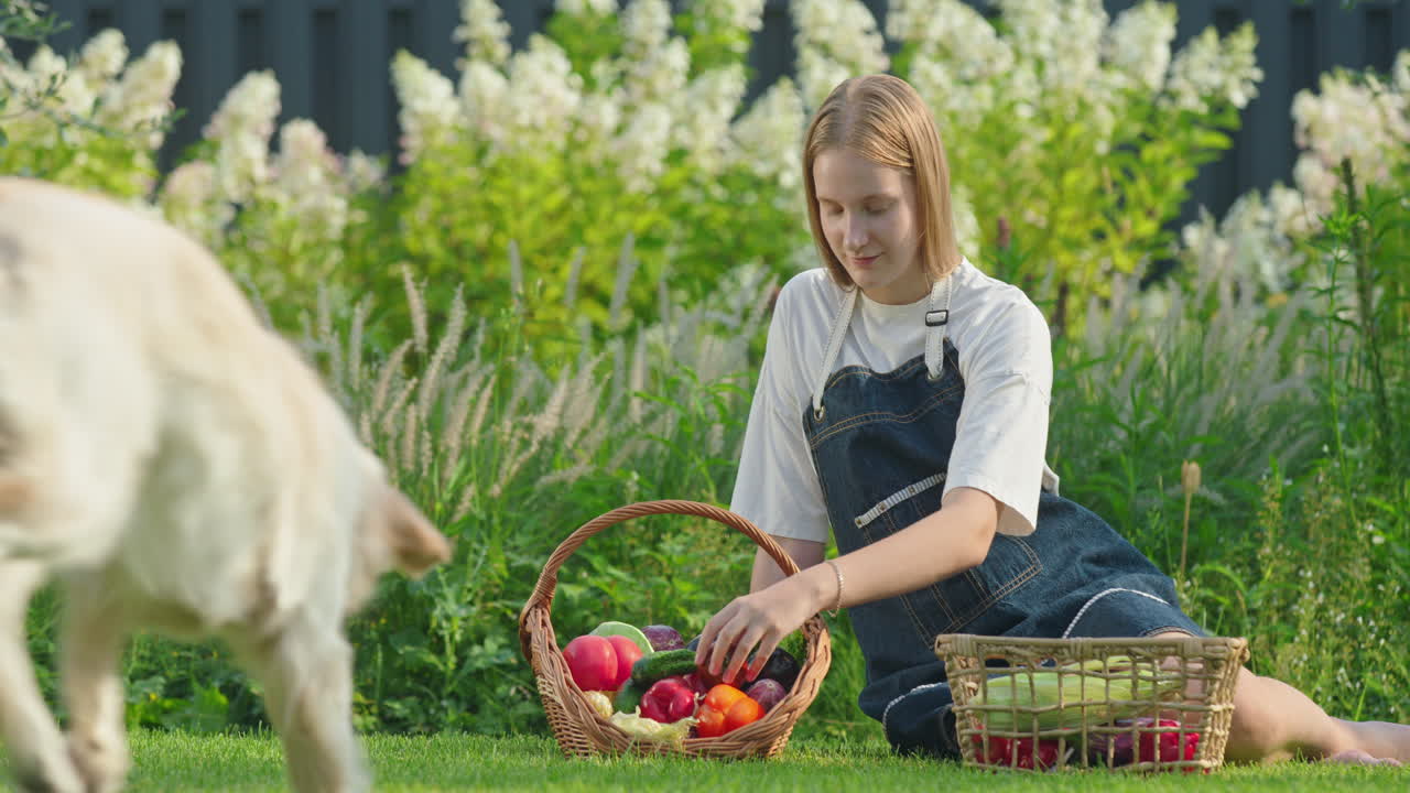 молодая женщина и собака в саду со свежими овощами