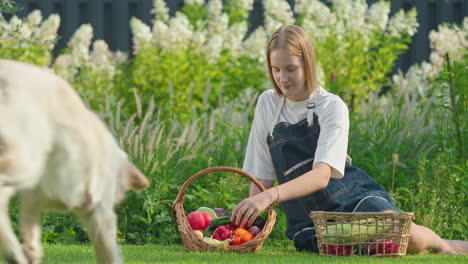 mujer joven y perro en un jardín con verduras frescas