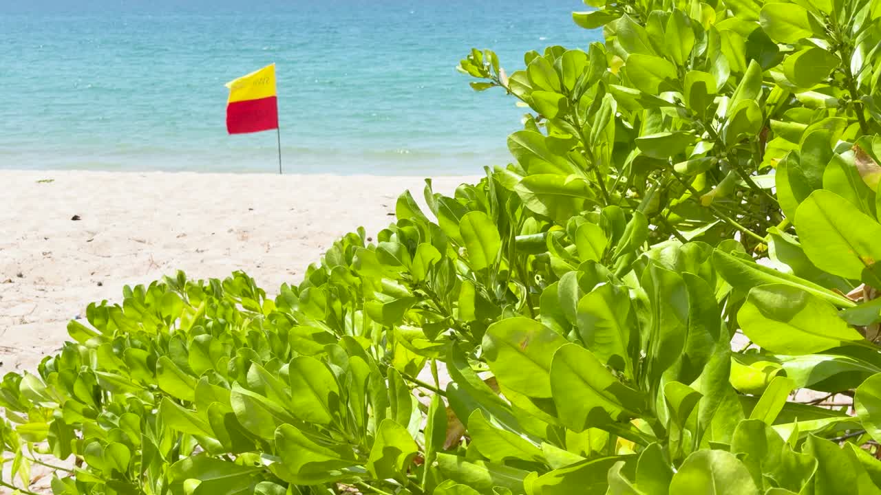 Statisk bild av en livräddningsflagga som vajar på en solig tropisk strand med grönska.