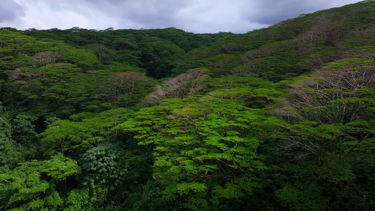 Tahiti island French Polynesia aerial drone tropical dense lush jungle flora forest Mahina Papeno'o mountainside canyon ravine valley Teahupoo Papeete Moorea Mont Orohena greenery cloudy circle left