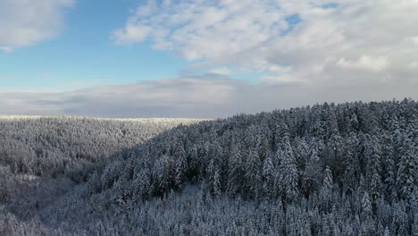 Drohnenflug-Verschneite-Landschaft-Im-Schwarzwald-Deutschland