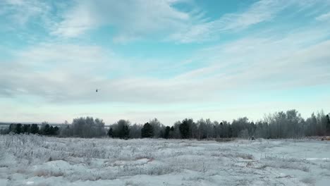 winter landscape with helicopter