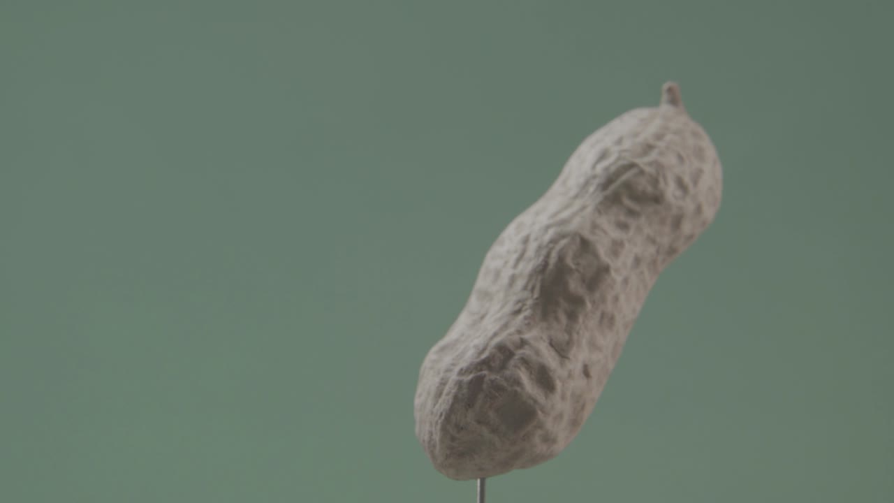 크로마 키를 위해 녹색 화면에 루프와 함께 땅콩 회전