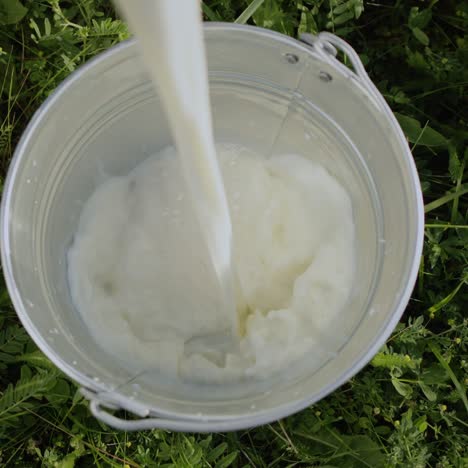 milk is poured into a bucket 1