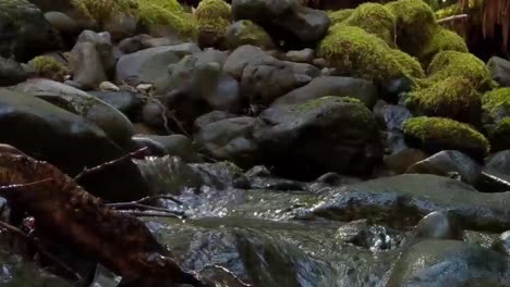 water cascading over moss covered rock in a mountain stream on a warm spring day