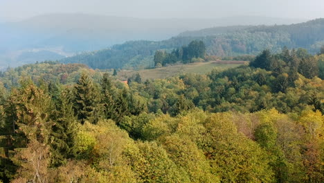 Aerial-view-of-a-wide-forest-landscape,-Lautenbach,-Germany