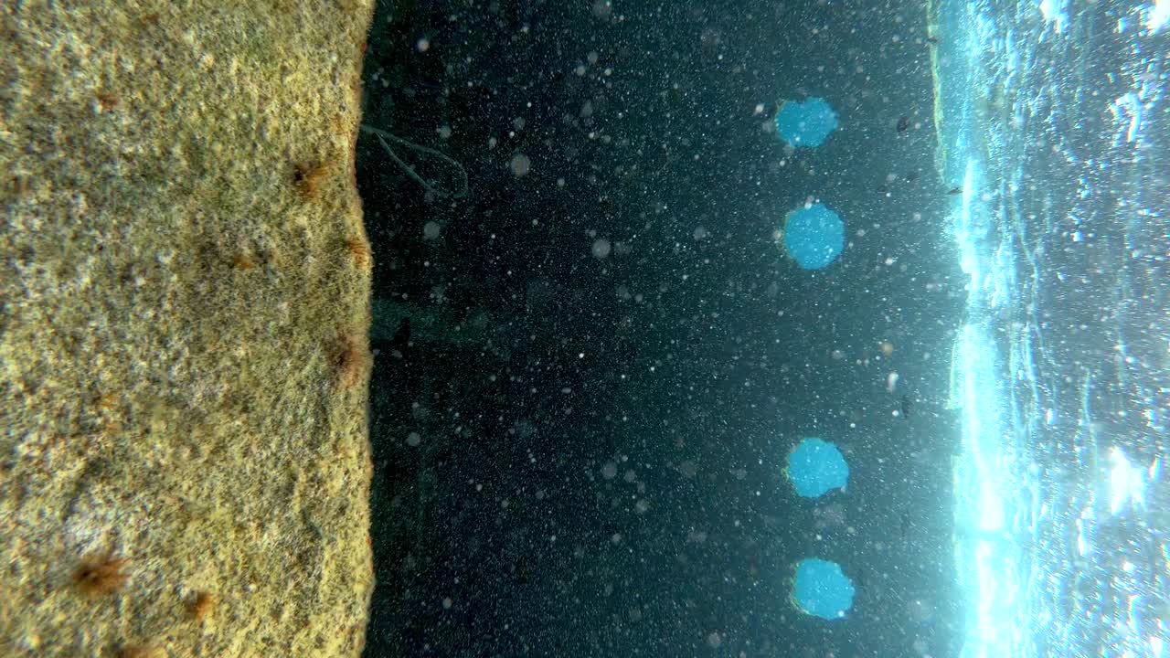 material de archivo vertical