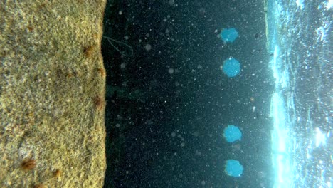 vertical footage