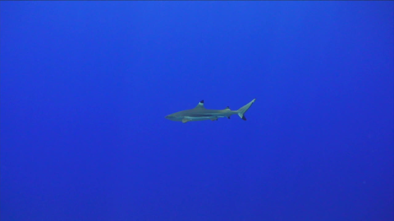 지하 물 재고 영상