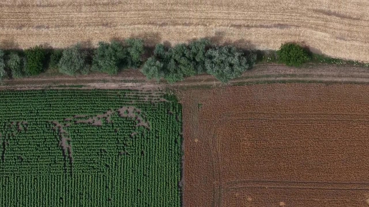 An aerial view showing a distinct divide between a lush green crop field and a harvested dry brown agricultural landscape.