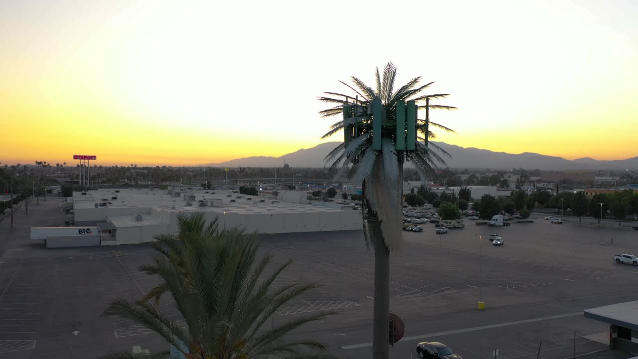 torre de radio celular disfrazada de palmera en un estacionamiento abierto durante un atardecer naranja amarillo vibrante con un telón de fondo de montaña