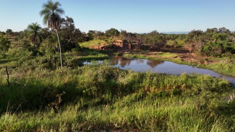 aereial drone view of bolivia jungle countryside near santa cruz 4k high resolution