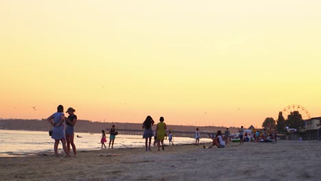 people relaxing on public beach. people enjoying on a beach during sunset