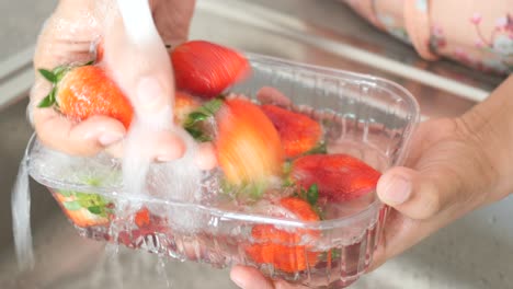 lavado de fresas
