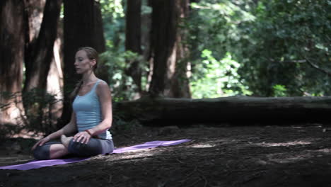 a young woman practices yoga in a quiet forest