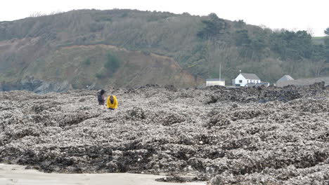 Unerkennbare-Menschen-Suchen-Meeresfrüchte-Am-Martin-Beach,-Saint-Brieuc