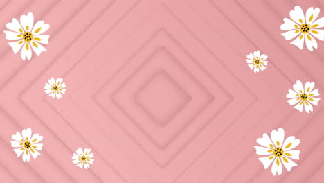 animation of white flowers over shapes on pink background