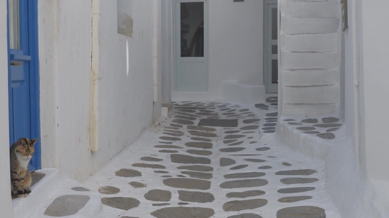 En malerisk kat sidder ved en levende blå dør i en smal, hvidkalket gyde i smukke Mykonos, Grækenland. Tilt Down Shot.