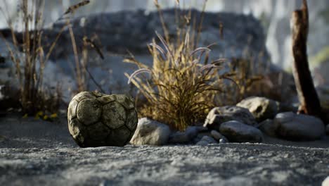 An-old-torn-soccer-ball-thrown-lies-on-sand-of-sea-beach