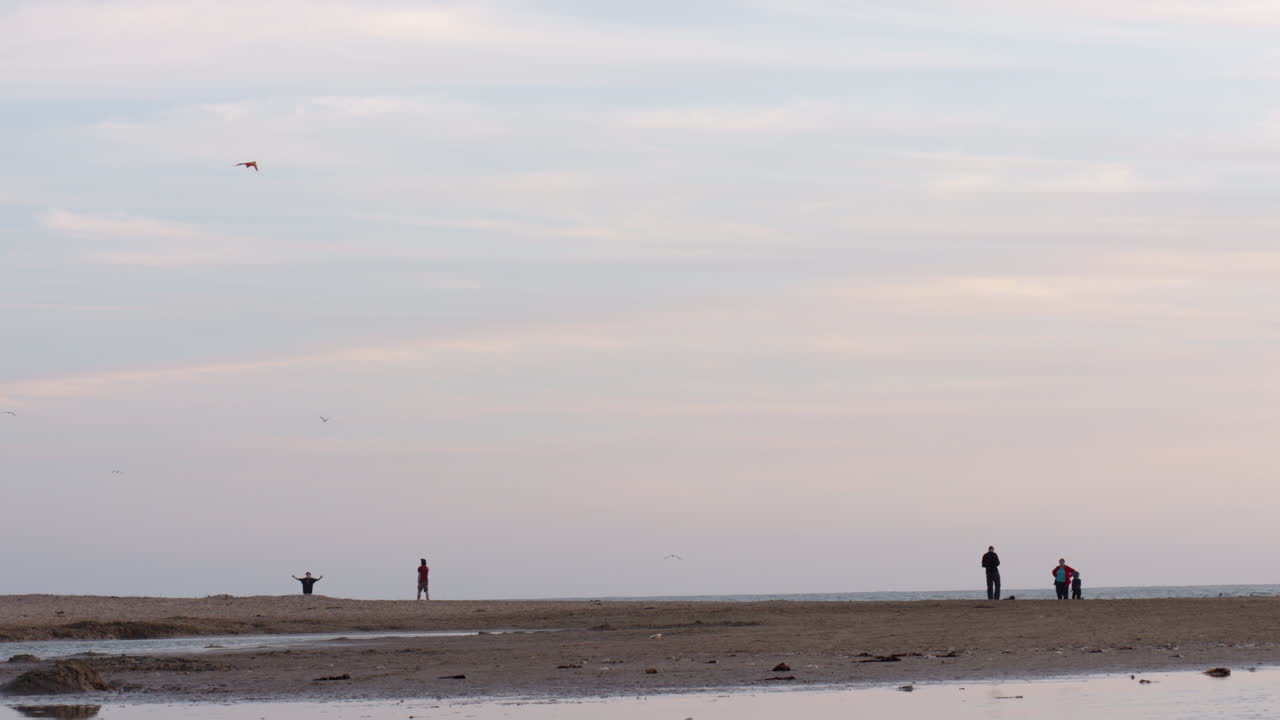 해변 강 위치에서 연 날리기를 즐기는 가족, 슬로우 모션