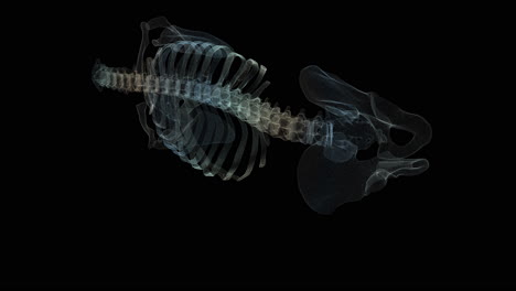 concepto biomédico futurista de un escaneo holográfico de la columna vertebral de un paciente para el diagnóstico de hernia de disco espinal