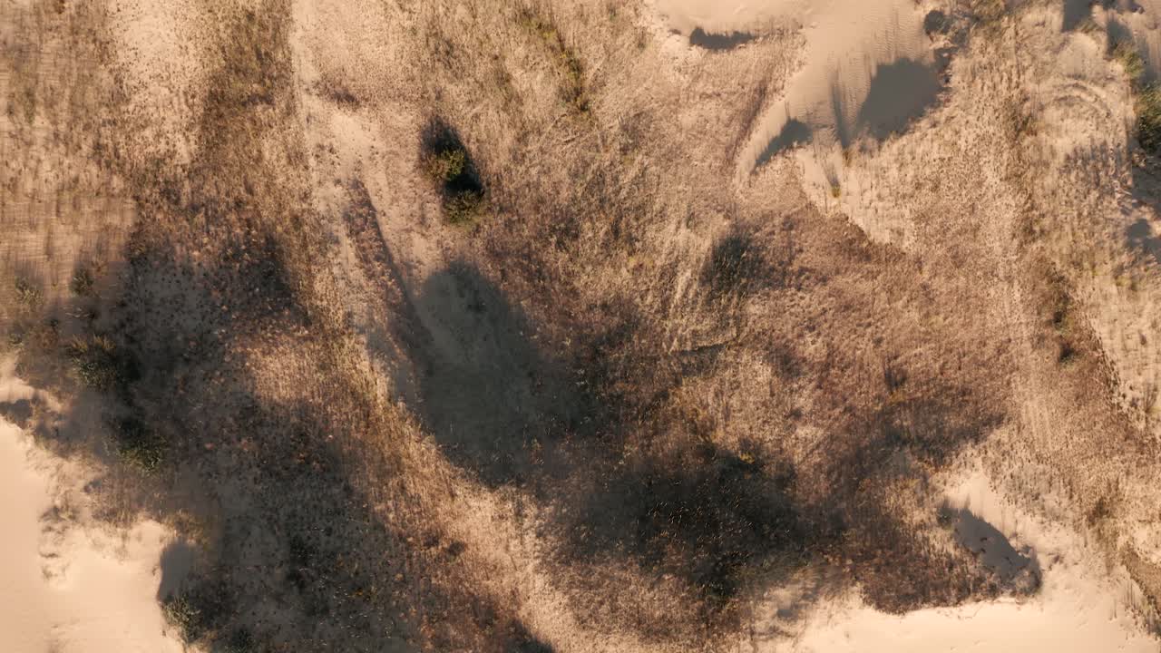 vista aérea de un desierto, dunas de arena. textura de la superficie de la naturaleza del desierto