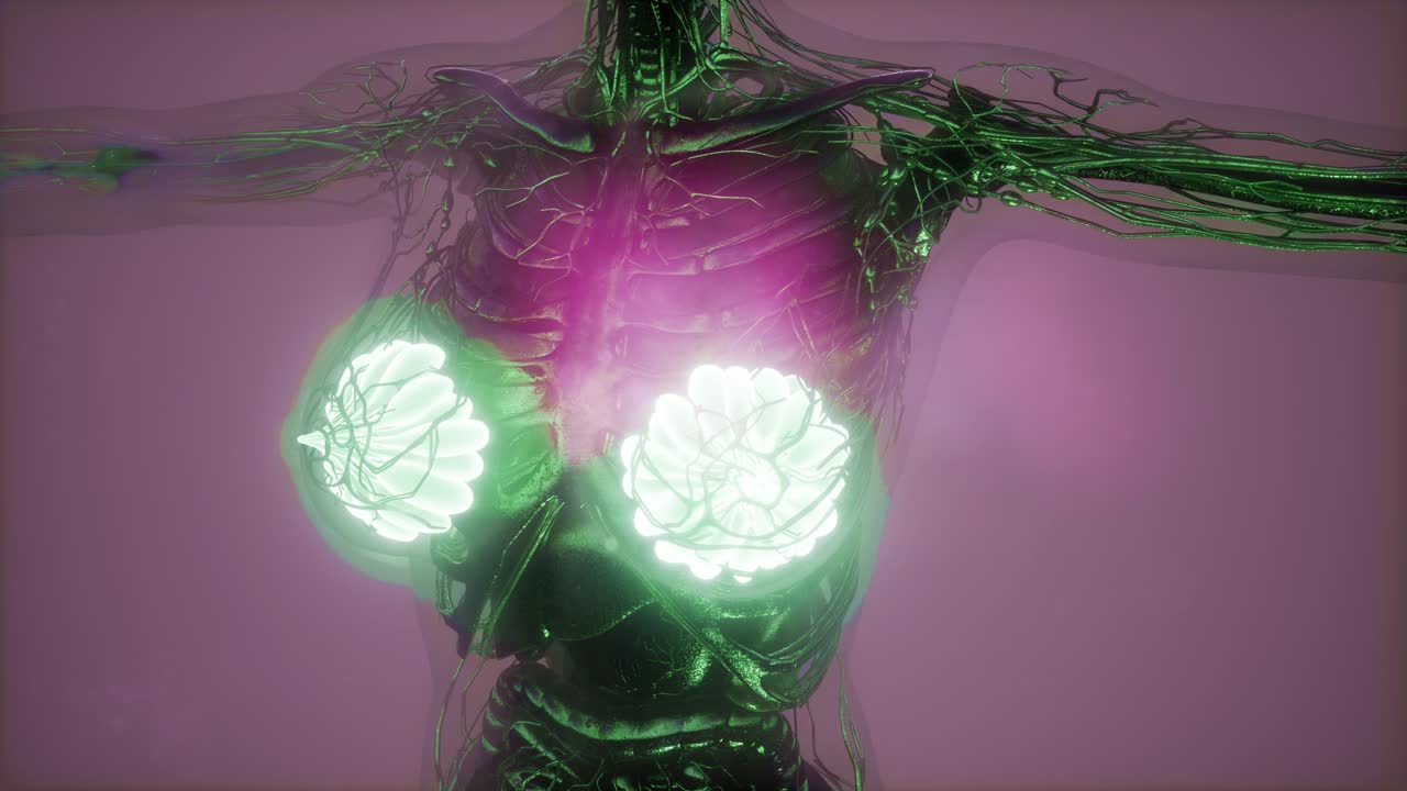 cuerpo humano con brillo visible glándula mamaria