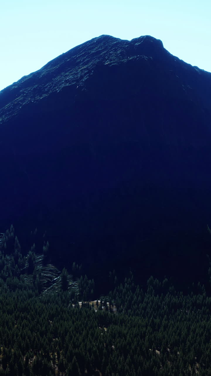 paisaje de montaña con pinos