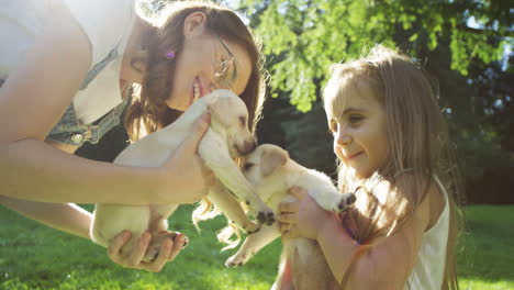 young caucasian woman in glasses and pretty little girl playing with two labrador puppies in the park on a sunny day