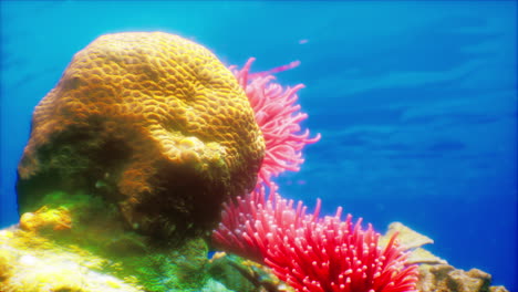 un vibrante arrecife de coral con anémonas rosadas