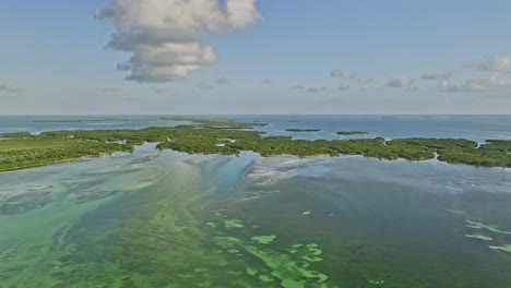 Key-West-Florida-Luftaufnahme-V31-Filmischer-Drohnenüberflug-Snipe-Point-Bereich,-Der-Unberührte-Gewässer-Und-Das-Wunderschöne-Mangrovenwurzelsystem-Einfängt,-Das-Die-Insel-Bildet-–-Aufgenommen-Mit-Mavic-3-Cine-–-Februar-2023