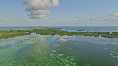 key west florida aerial v31 cinematic drone flyover snipe point area capturing pristine waters and beautiful mangrove root system forming the island - shot with mavic 3 cine - february 2023