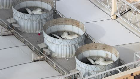 rotating fans on a building's cooling tower