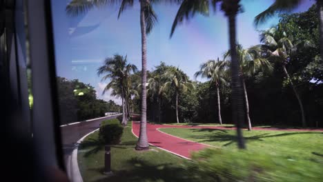 looking out bus window in a tropical place with female reflection