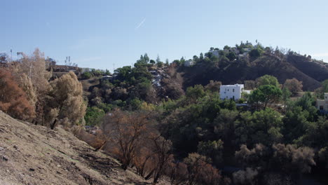 Burned-trees-contrasting-against-green-trees-in-Malibu-California-from-Woolsey-Fire