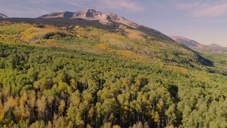 álamos tembloses girando en kebler pass, colorado