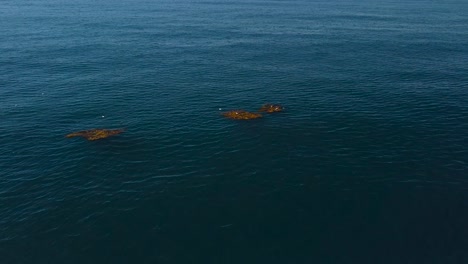 drone-view-flying-up-to-orange-patties-with-birds-on-them