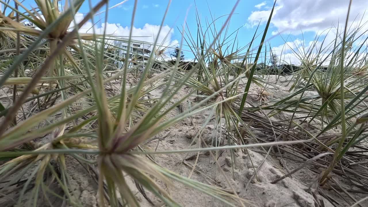 instalaciones artísticas en la playa de arena con edificios