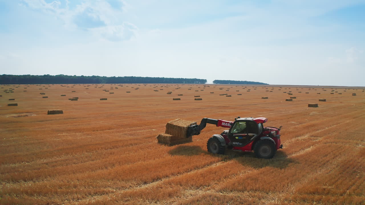 Little red powerful loader takes a straw bale and puts it on top of other bale. Agricultural machinery working in the field picking straw.