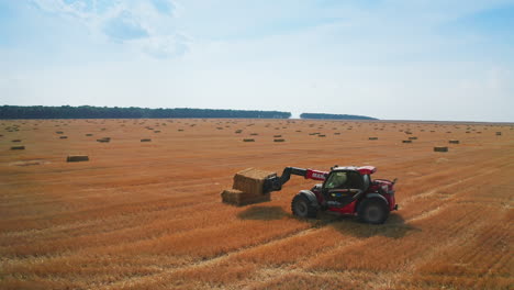 little red powerful loader takes a straw bale and puts it on top of other bale. agricultural machinery working in the field picking straw.