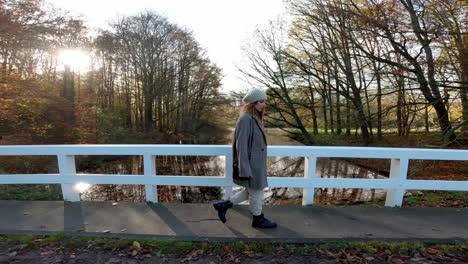 Toma-De-Cardán-Del-Paseo-Otoñal-En-El-Vondelpark-De-Amsterdam