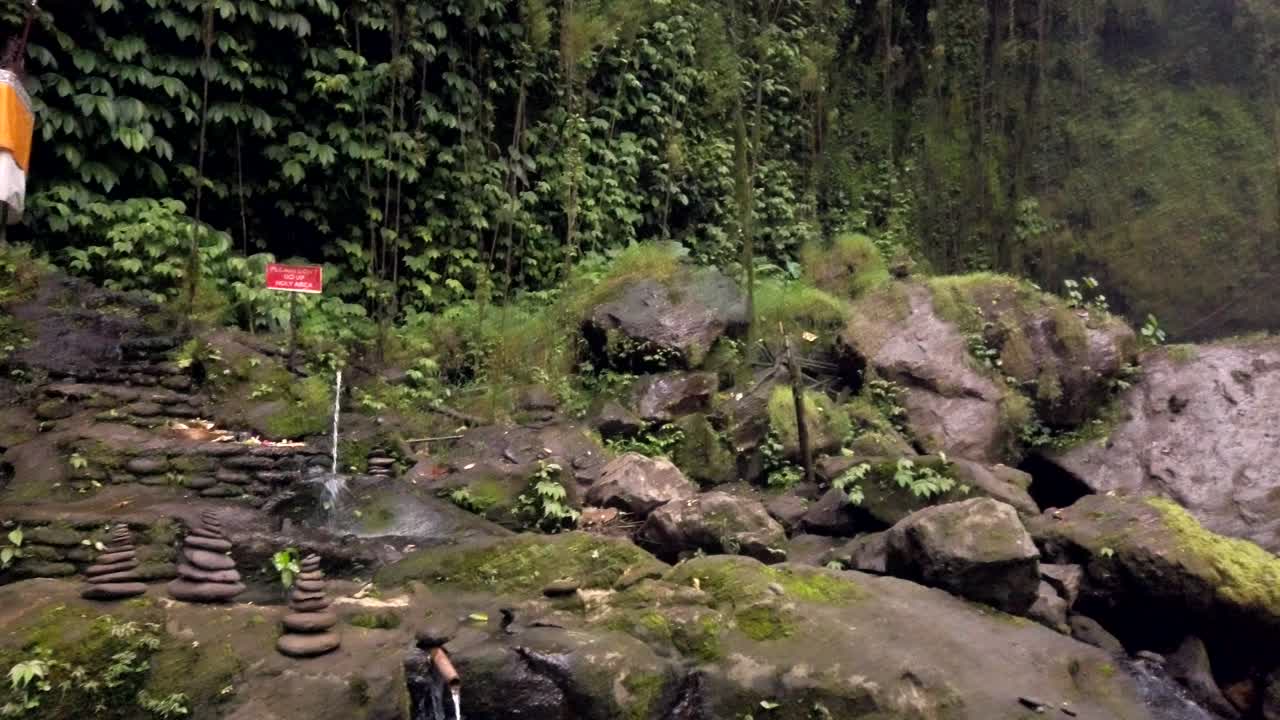 panning view of Ubud water fall and lush green jungle wall with religious shrine honouring balinese gods