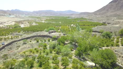 Flying-above-the-farms-in-the-spring