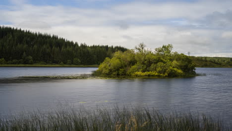 time lapse of tree lake island with reeds in the foreground and forest in the background on a cloudy summer day in ireland