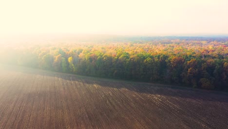 Aerial-top-down-view-of-autumn-forest-with-green-and-yellow-trees