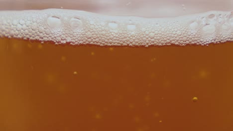 close-up of a thick layer of beer-generated foam with small clusters of effervescing bubbles