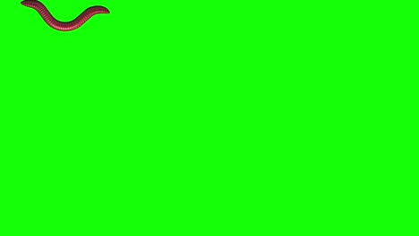 gusano en verde, animado en 3d en bucle